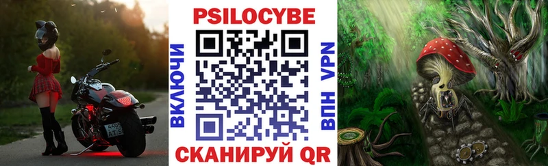 Псилоцибиновые грибы Magic Shrooms  Бийск 